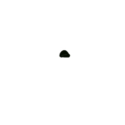 Mascot